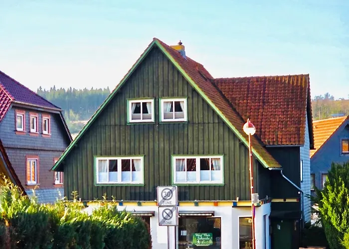 Apartamento Harz Flair *